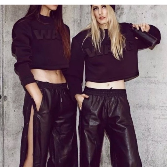 Alexander Wang sweatshirt! Alexander Wang X H&M Collab Cropped Scuba Sweatshirt - Picture 5 of 14